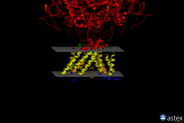 Membrane view of 4tll