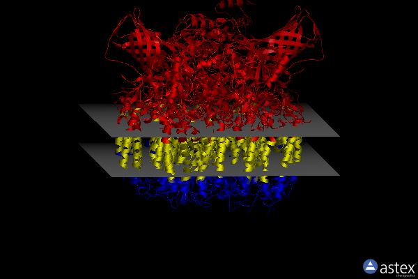 Membrane view of 4tnh