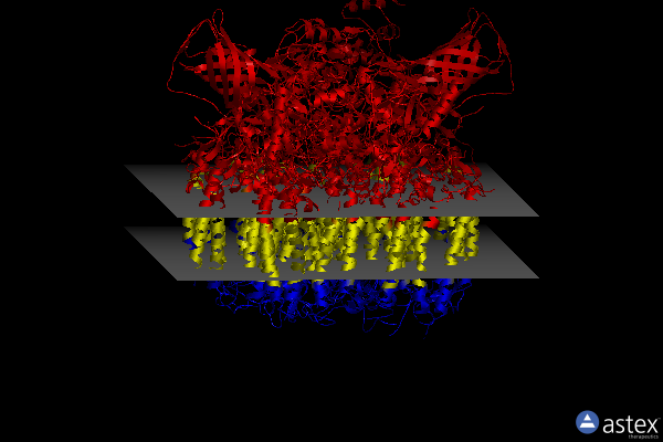 Membrane view of 4tnj