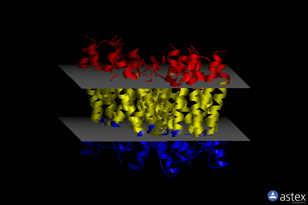 Membrane view of 4tph