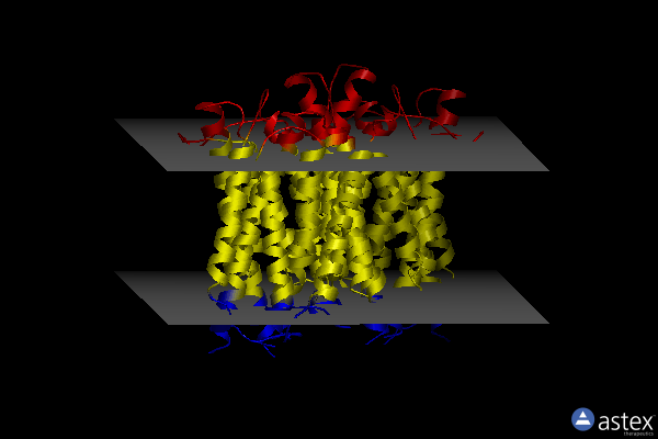 Membrane view of 4tpj