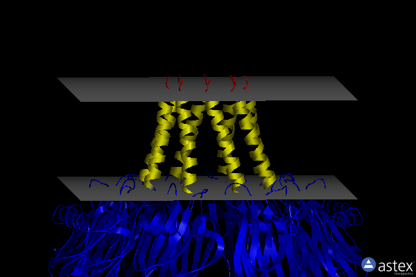Membrane view of 4tsy