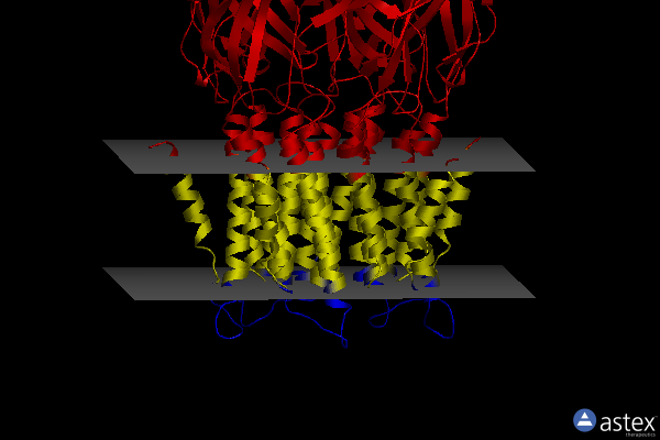 Membrane view of 4twd