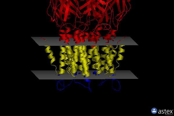 Membrane view of 4twf