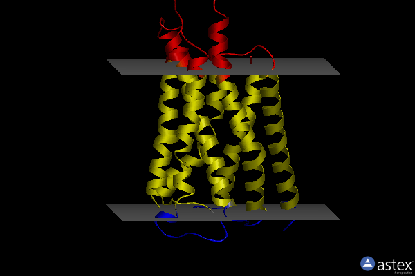 Membrane view of 4u16