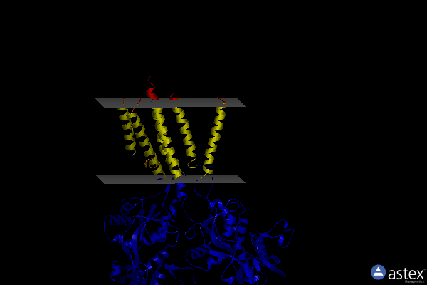 Membrane view of 4u1w