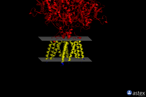 Membrane view of 4u1y