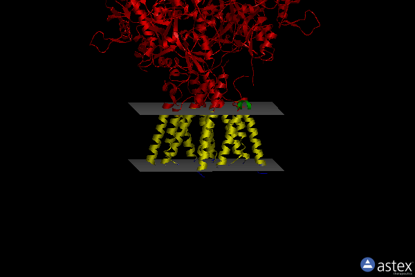 Membrane view of 4u2q