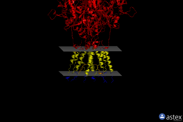 Membrane view of 4u4f