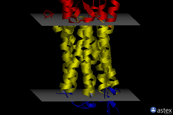 Membrane view of 4u4t