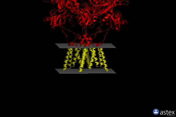 Membrane view of 4u5d