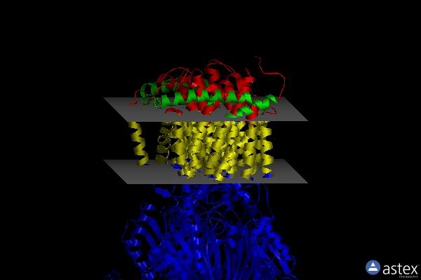Membrane view of 4u8y