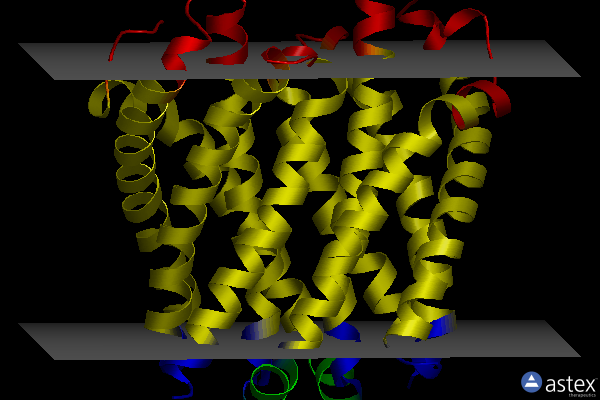Membrane view of 4u9l