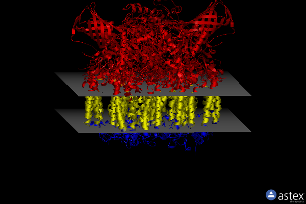 Membrane view of 4ub8