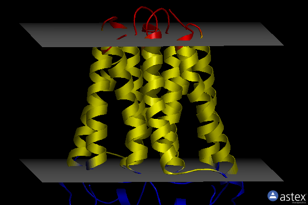Membrane view of 4uc2