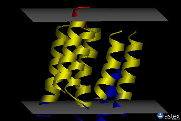 Membrane view of 4utq