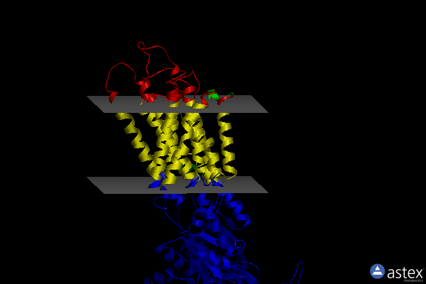 Membrane view of 4uu0