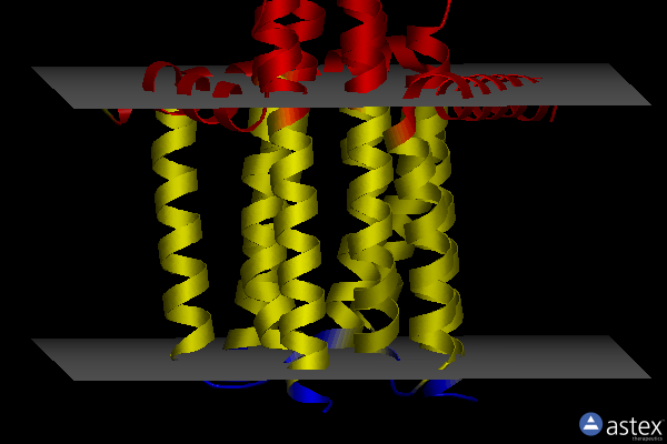 Membrane view of 4uxx