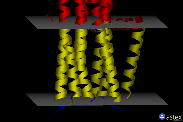 Membrane view of 4uxz