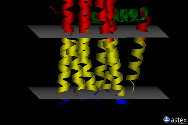 Membrane view of 4uyo