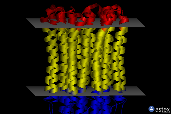 Membrane view of 4v1g