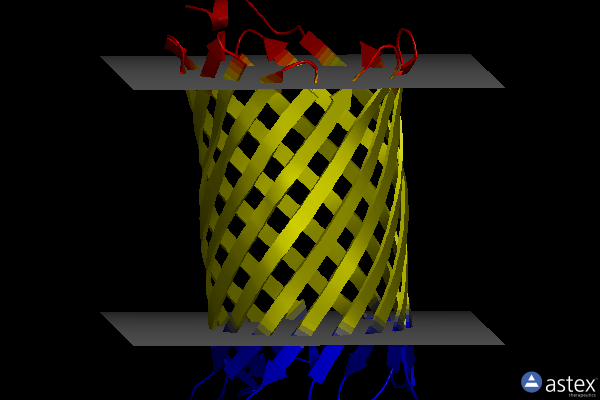 Membrane view of 4v3h