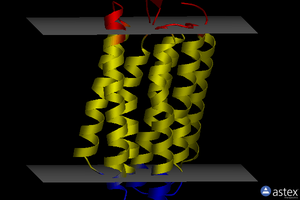 Membrane view of 4wav