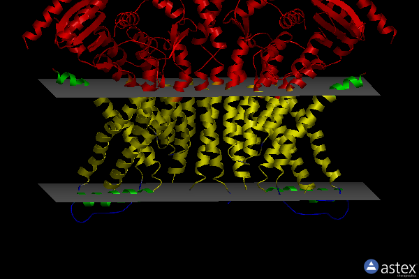 Membrane view of 4wis
