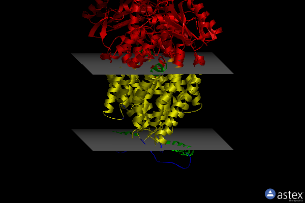 Membrane view of 4wit
