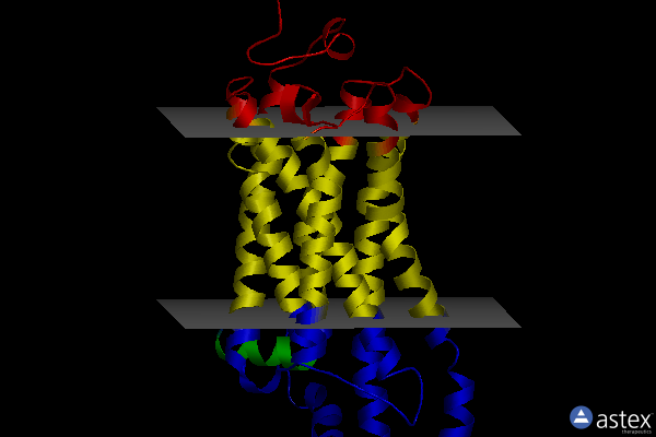 Membrane view of 4ww3