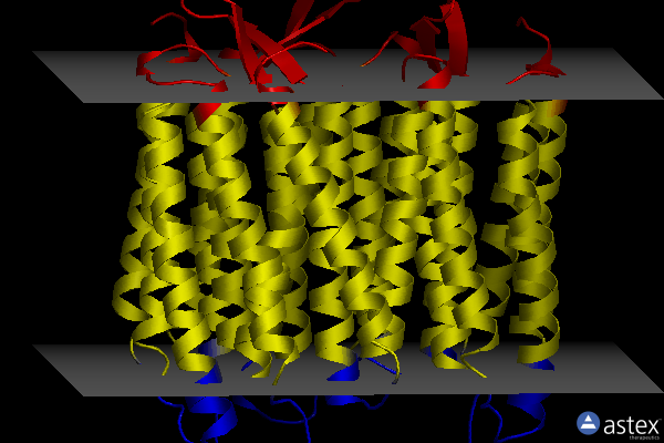 Membrane view of 4x31