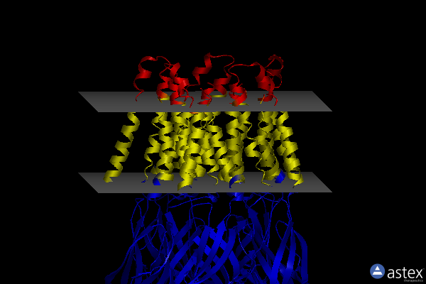 Membrane view of 4x5t