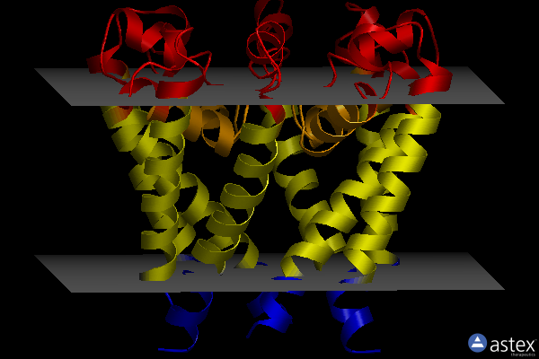 Membrane view of 4x8a
