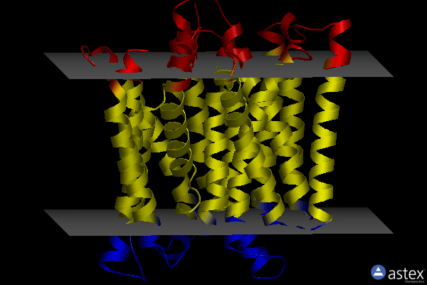 Membrane view of 4xnj
