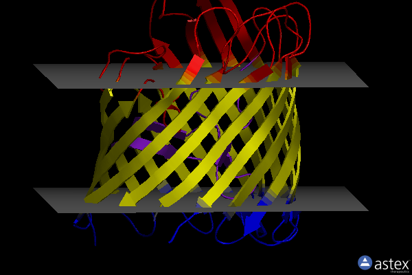 Membrane view of 4xnl