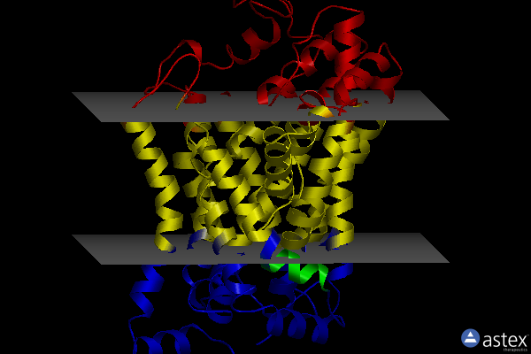 Membrane view of 4xnu