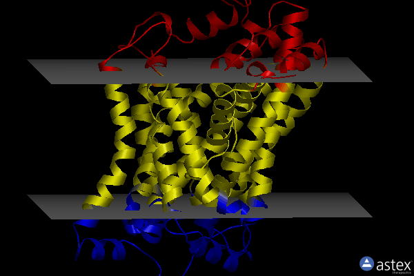 Membrane view of 4xnx