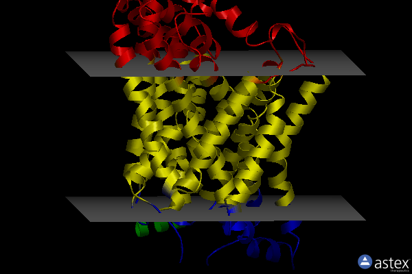 Membrane view of 4xp4