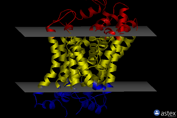 Membrane view of 4xpa