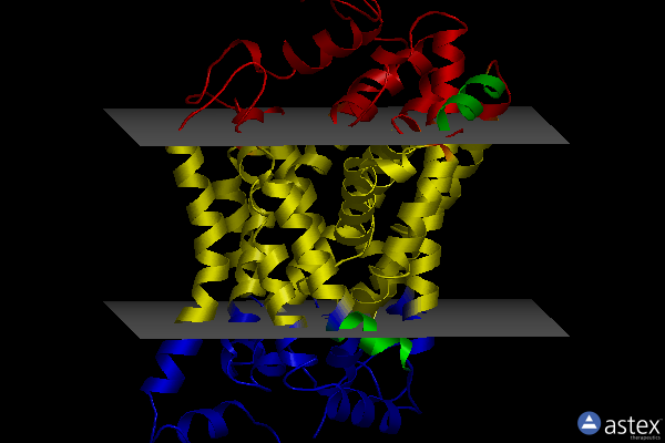 Membrane view of 4xpf