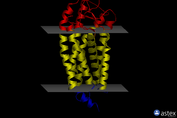 Membrane view of 4xt3