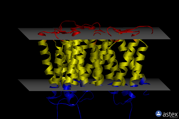 Membrane view of 4xu5