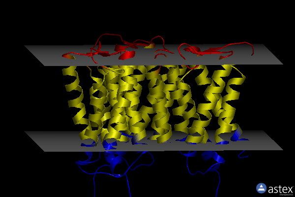 Membrane view of 4xu6