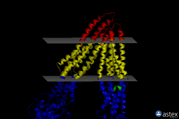 Membrane view of 4xwk