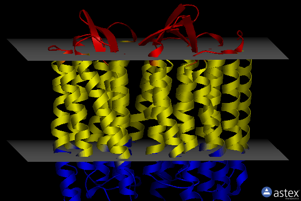 Membrane view of 4xxj