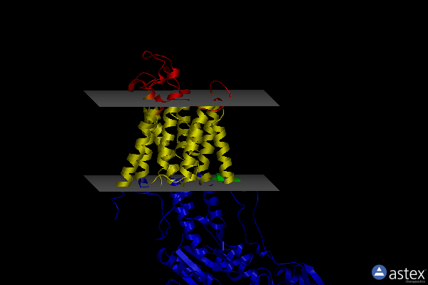 Membrane view of 4ycl