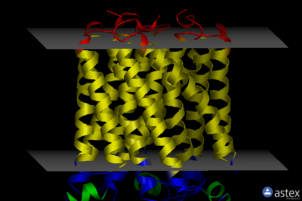 Membrane view of 4yl1
