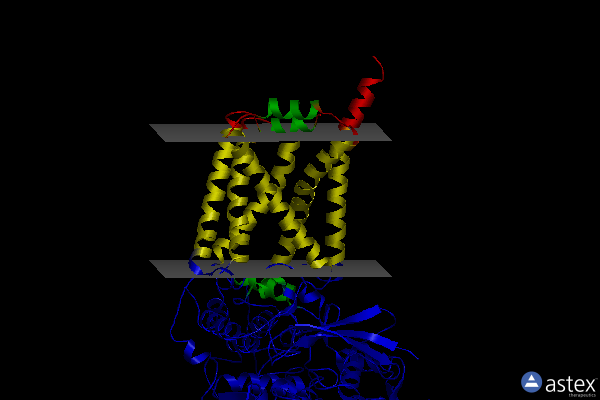 Membrane view of 4ysz