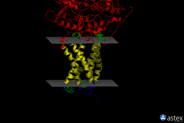 Membrane view of 4yt0
