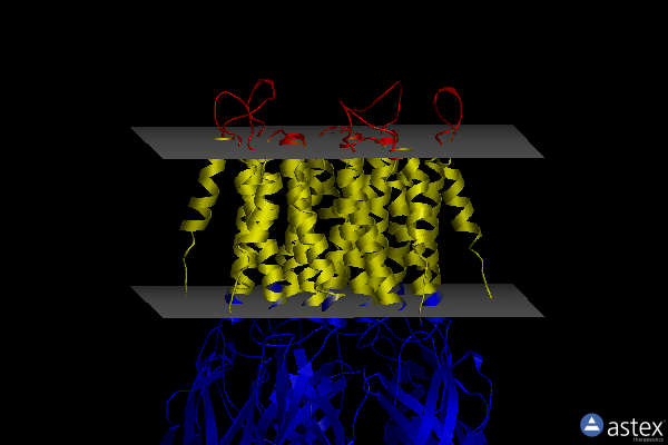 Membrane view of 4z91